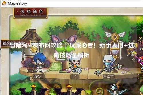 冒险岛SF发布网攻略 | 玩家必看!新手入门+进阶技巧全解析