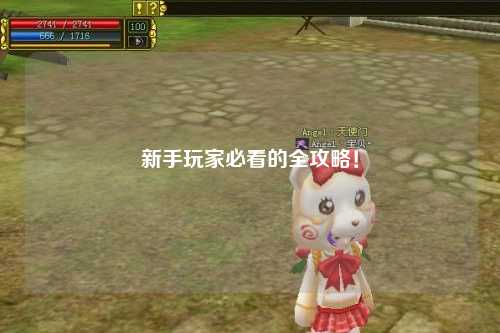 新手玩家必看的全攻略!