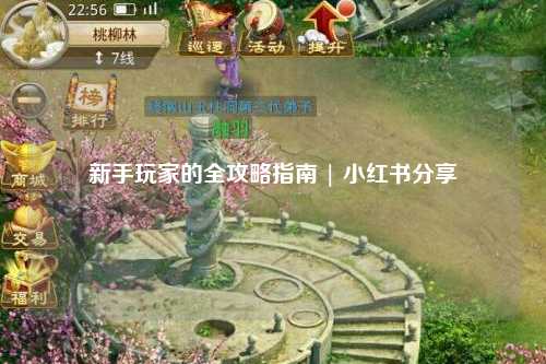 新手玩家的全攻略指南 | 小红书分享