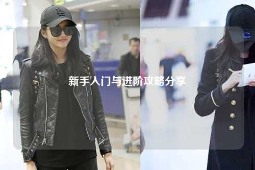 新手入门与进阶攻略分享