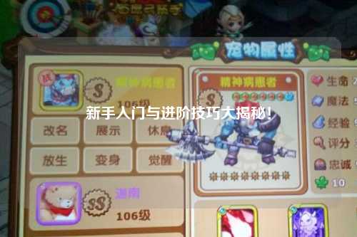 新手入门与进阶技巧大揭秘！
