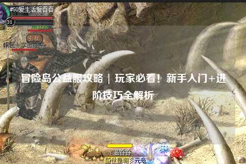 冒险岛公益服攻略 | 玩家必看!新手入门+进阶技巧全解析