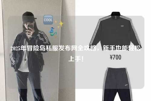 2025年冒险岛私服发布网全攻略，新手也能轻松上手！