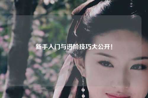 新手入门与进阶技巧大公开!