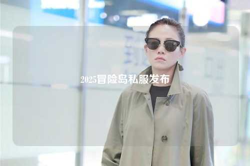 2025冒险岛私服发布