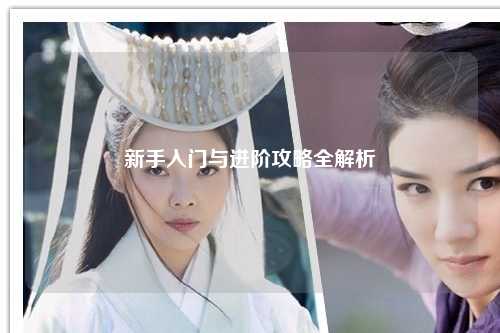 新手入门与进阶攻略全解析