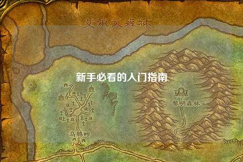新手必看的入门指南