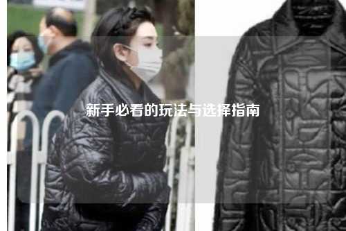 新手必看的玩法与选择指南