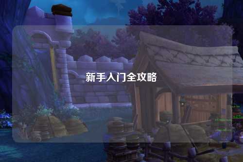 新手入门全攻略