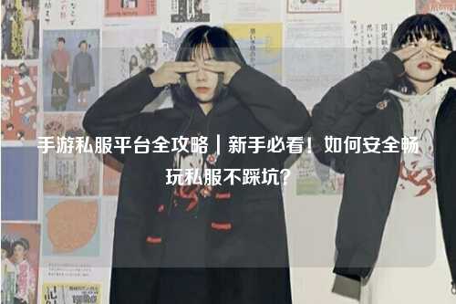 手游私服平台全攻略|新手必看!如何安全畅玩私服不踩坑?