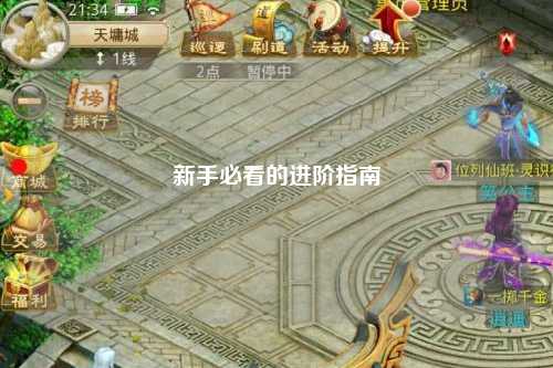 新手必看的进阶指南