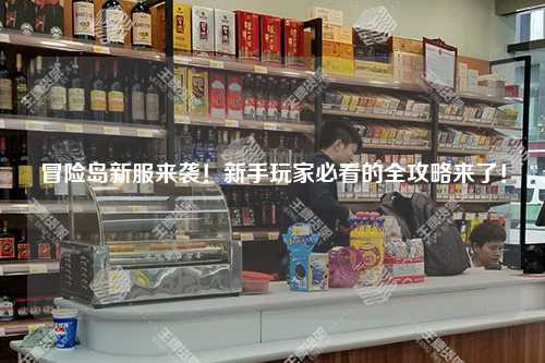 冒险岛新服来袭!新手玩家必看的全攻略来了!