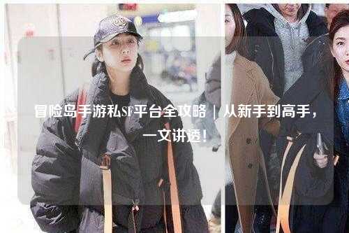 冒险岛手游私SF平台全攻略 | 从新手到高手，一文讲透！