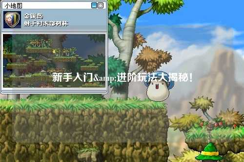 新手入门&进阶玩法大揭秘！