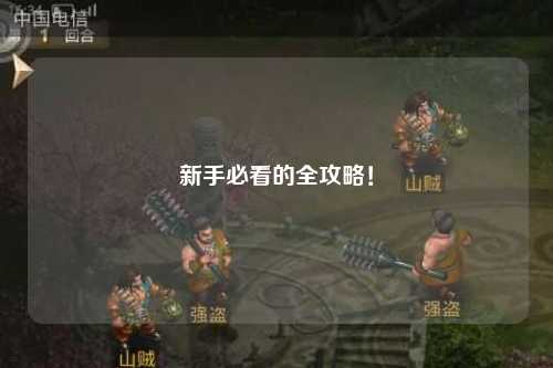 新手必看的全攻略！