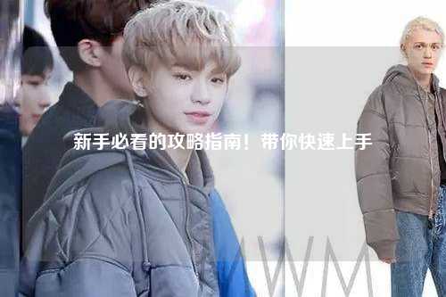 新手必看的攻略指南!带你快速上手