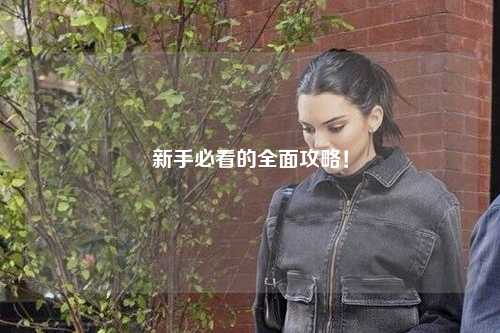 新手必看的全面攻略！
