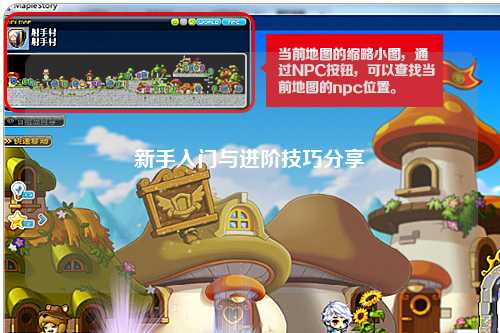 新手入门与进阶技巧分享