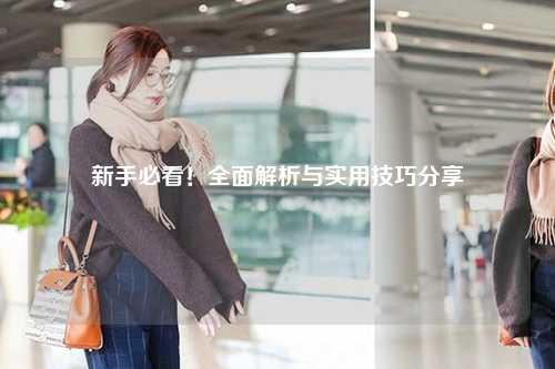 新手必看!全面解析与实用技巧分享