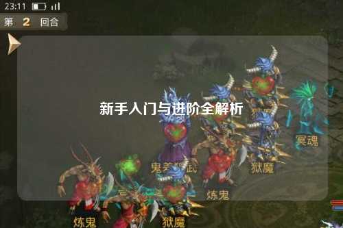 新手入门与进阶全解析