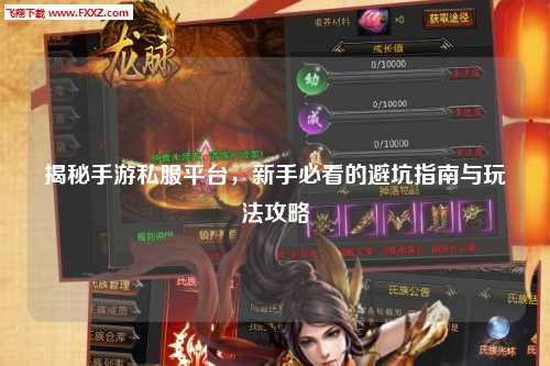 揭秘手游私服平台,新手必看的避坑指南与玩法攻略