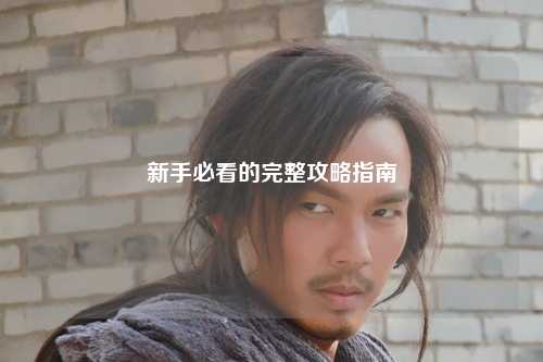 新手必看的完整攻略指南