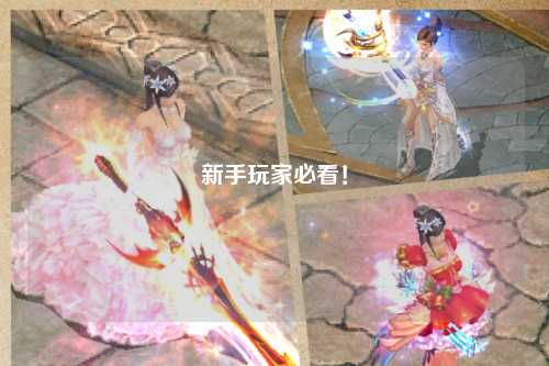 新手玩家必看!