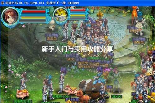 新手入门与实用攻略分享