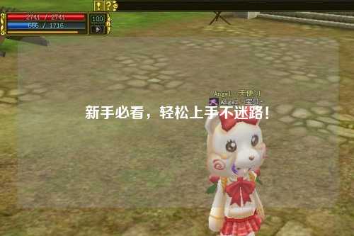 新手必看，轻松上手不迷路！