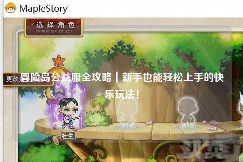 冒险岛公益服全攻略|新手也能轻松上手的快乐玩法!