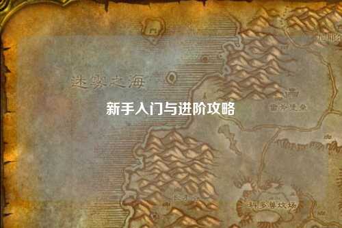 新手入门与进阶攻略