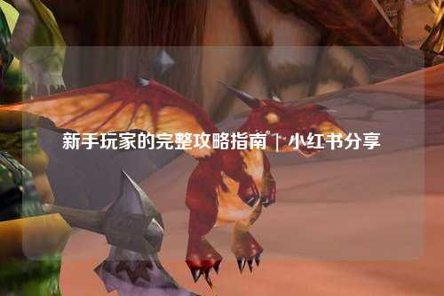 新手玩家的完整攻略指南 | 小红书分享