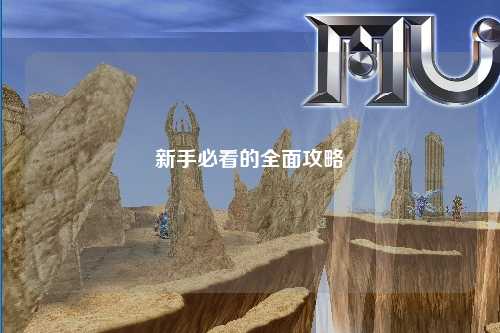 新手必看的全面攻略