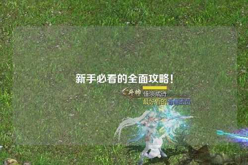 新手必看的全面攻略!