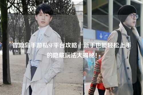 冒险岛手游私SF平台攻略|新手也能轻松上手的隐藏玩法大揭秘!