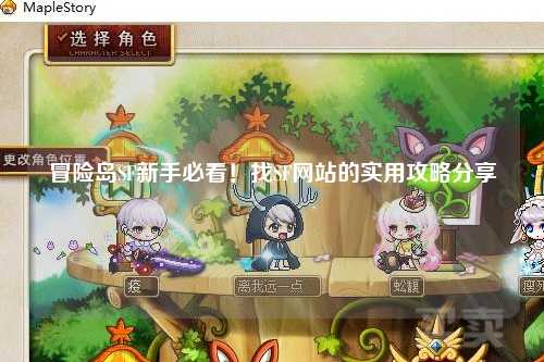 冒险岛SF新手必看!找SF网站的实用攻略分享✨