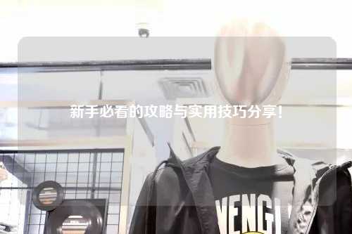 新手必看的攻略与实用技巧分享!