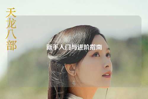 新手入门与进阶指南