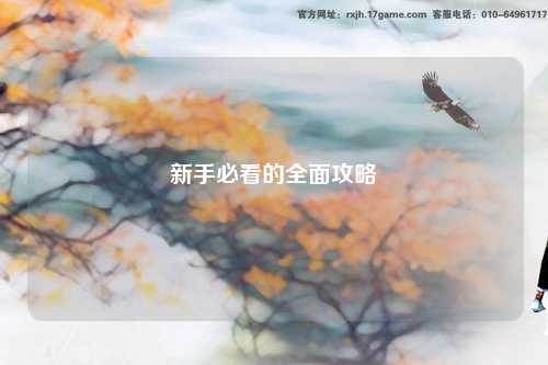 新手必看的全面攻略