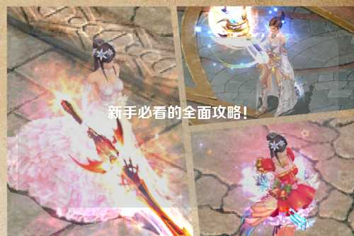 新手必看的全面攻略!