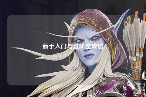 新手入门与进阶全攻略