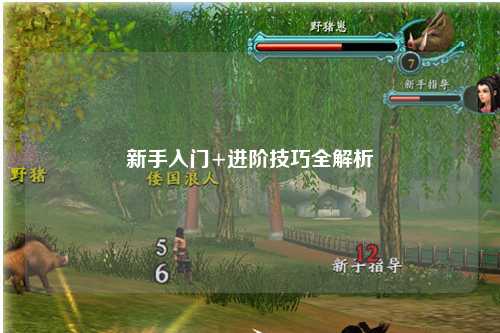 新手入门+进阶技巧全解析