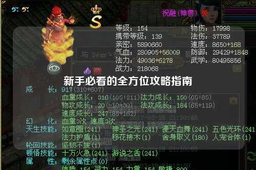 新手必看的全方位攻略指南