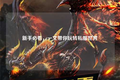 新手必看,一文带你玩转私服世界