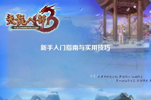 新手入门指南与实用技巧