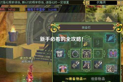 新手必看的全攻略!