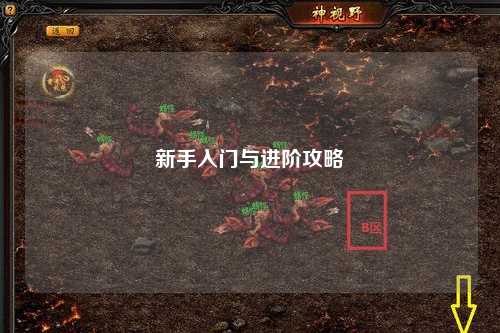 新手入门与进阶攻略