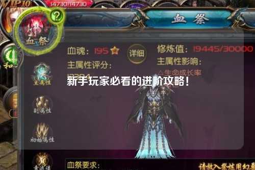 新手玩家必看的进阶攻略!