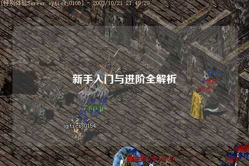 新手入门与进阶全解析