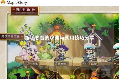 新手必看的攻略与实用技巧分享